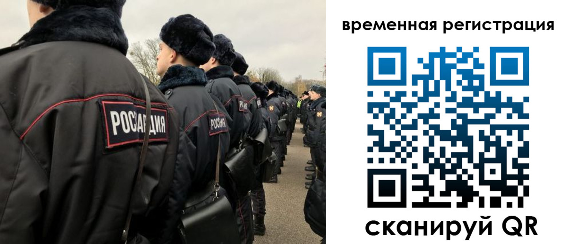 прописка гарантия в Ворсме
